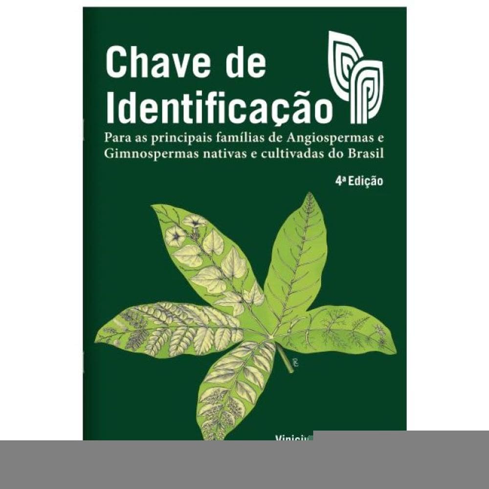 Chave De Identificação