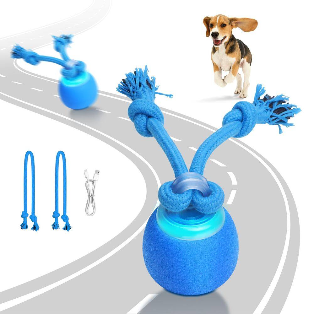 Bola elétrica Oxawo de brinquedo interativo para cães com som de chilrear