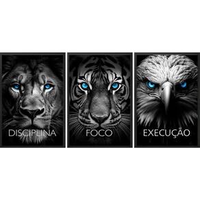 Kit 3 Quadros Animais Disciplina Foco Execução 45X34Cm Vidro