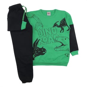 Conjunto Infantil Menino Moletom Flanelado Estampa Dino Frio