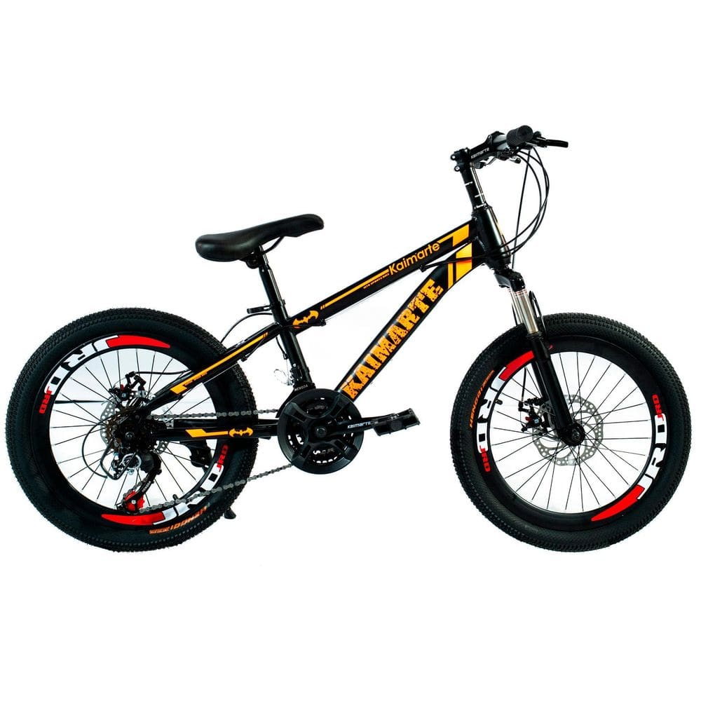 Bicicleta Aro 20 Bike 21 Vel Marchas Minitrail Freio A Disco