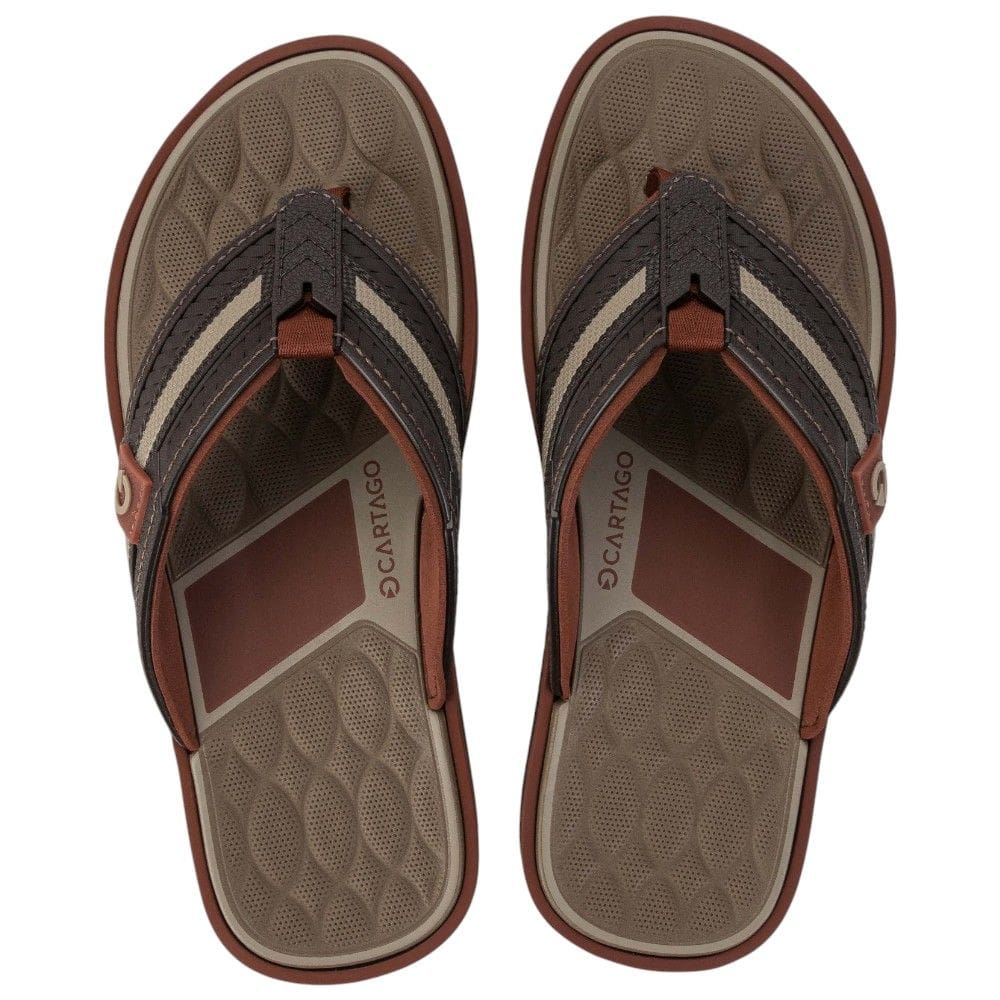 Chinelo Cartago Lyon 3 Dedo Grendene 12399