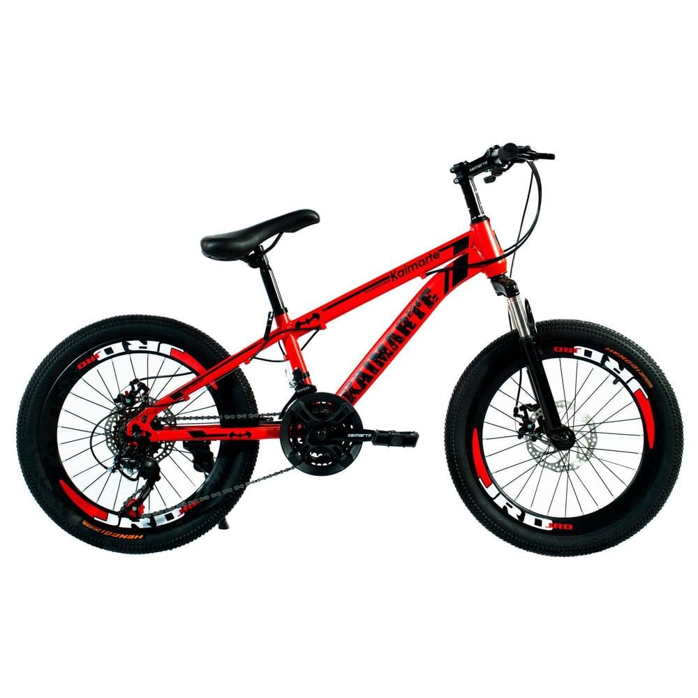 Bicicleta Aro 20 Bike 21 Vel Marchas Minitrail Freio A Disco