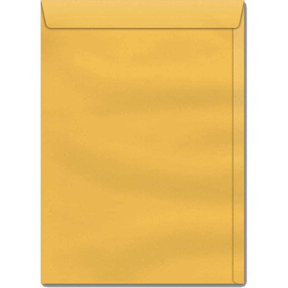Envelope Saco Ouro 200X280 80 Gramas Ko 28 Caixa Com 250