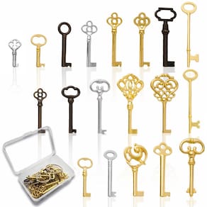 Conjunto de chaves Skeleton, substituição universal, 19 unidades para vintage