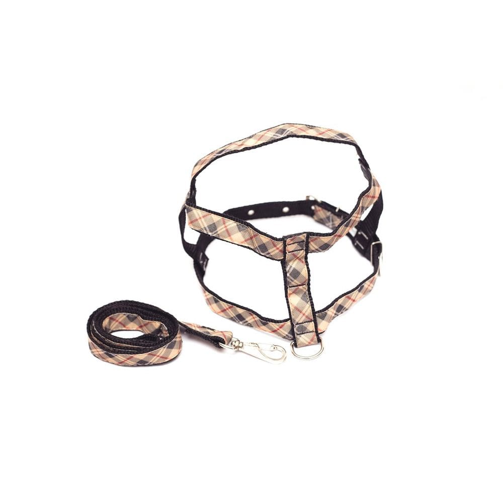 Kit Guia com peitoral 25mm marrom tamanho 5 50 cm a 60 cm