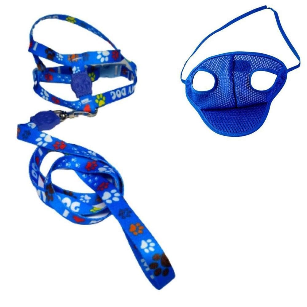 Kit Boné E Coleira Peitoral Para Cães E Gatos Nº5 - Azul