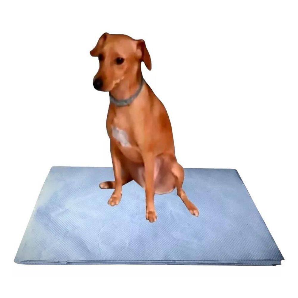 Papel Jornal Pipidog Limpo P/Necessidade Pacote 50X60Cm 100F