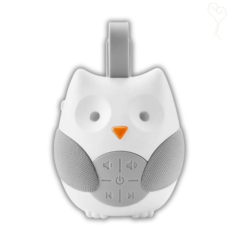 Mobile Eletronico Portatil Stroll & Go Coruja - Skip Hop