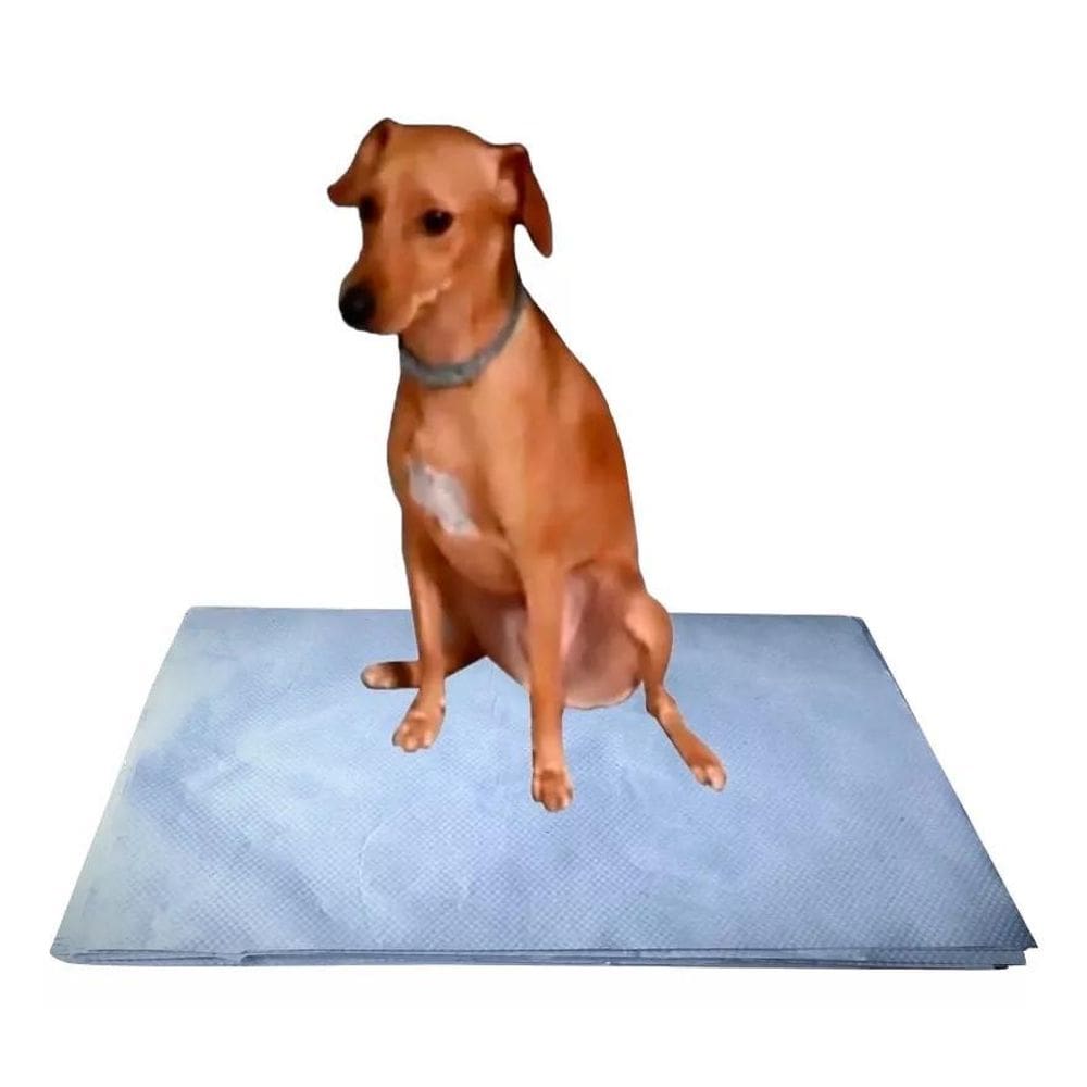 Papel Jornal Pipidog Limpo P/Necessidade Pacote 50X60Cm 100F