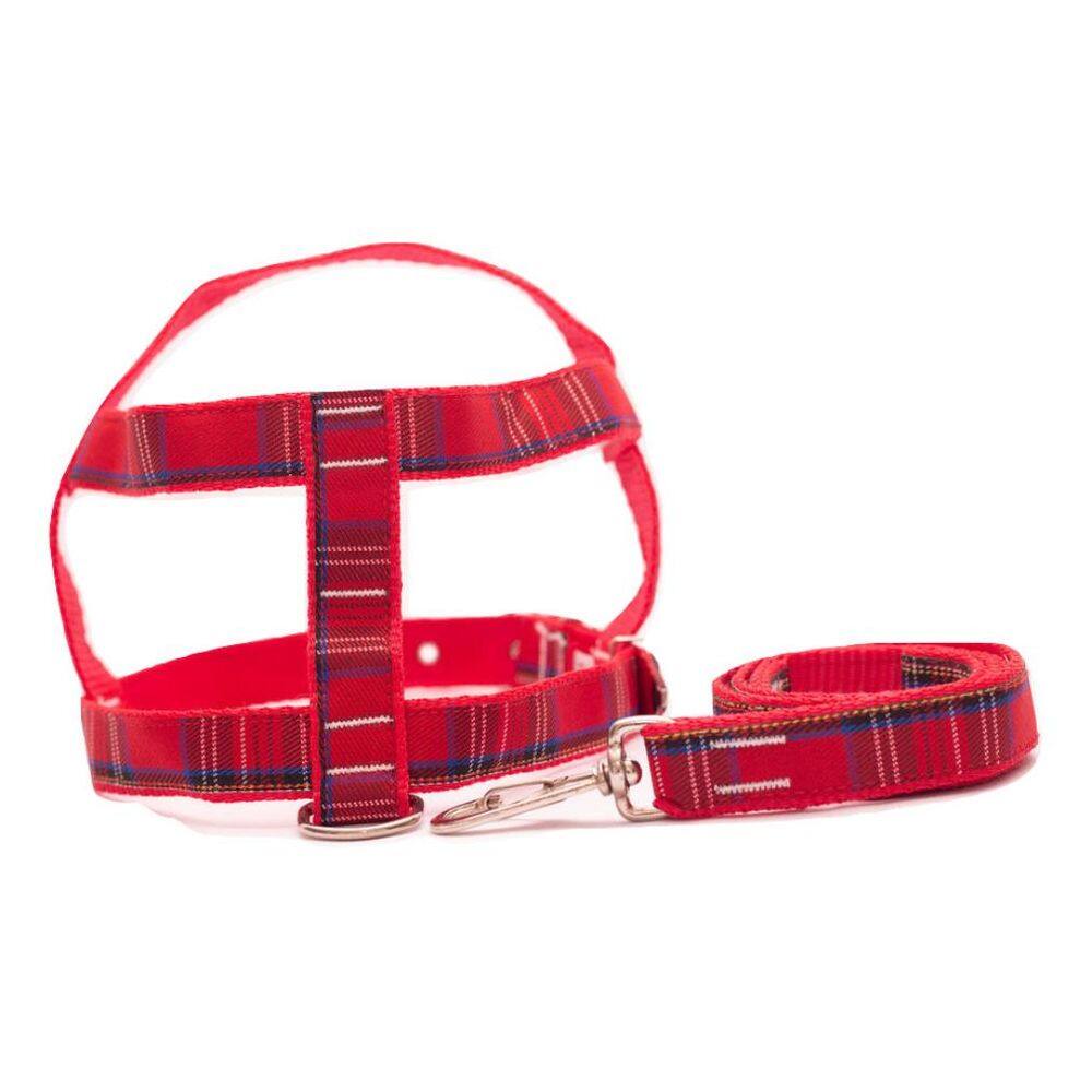 Kit Guia com peitoral 25mm vermelho tamanho 6 53cm a 70cm