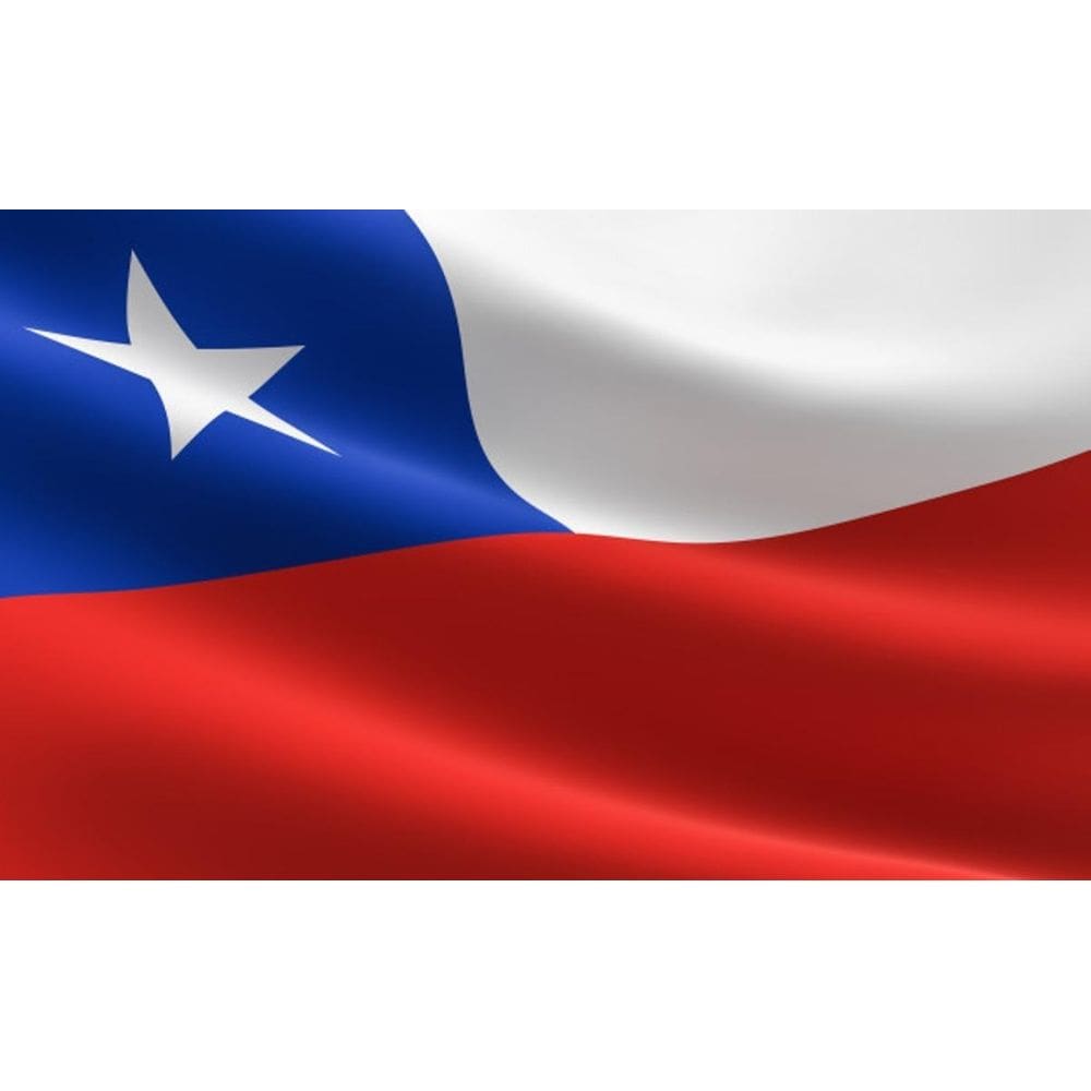 Bandeira Oficial Chile 90x128cm - Poliéster Oxford