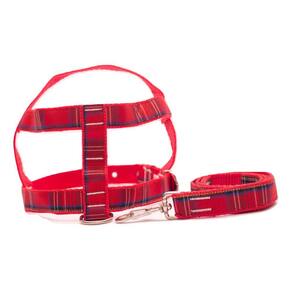 Kit Guia com peitoral 25mm vermelho tamanho 6 53cm a 70cm