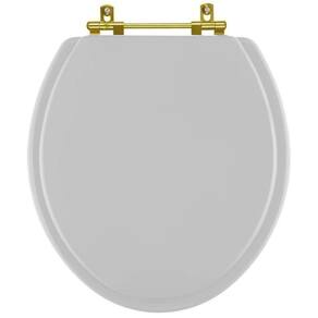 Assento Sanitario Poliéster Convencional Oval Cinza Platina Para Vaso Incepa Com Ferragem Dourada