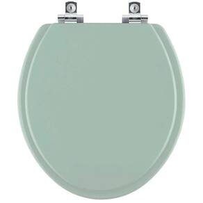 Assento Sanitário Soft Close évora Verde Para Vaso Luzarte