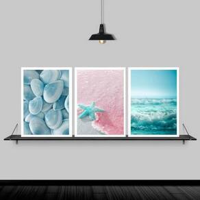Kit 3 Quadros Estrela Do Mar Rosa E Azul 33X24Cm - Com Vidro