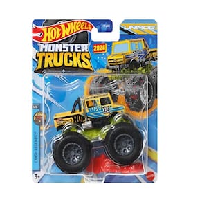 Hot Wheels Carrinho Monster Trucks 1:64 - Mattel Fyj44