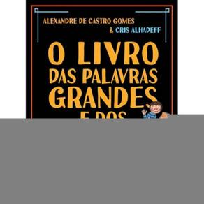 Livro das palavras grandes e dos desenhos pequenos (O)