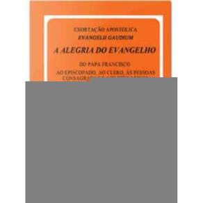 Exortacao Apostolica Evangelii Gaudium - Doc. 198