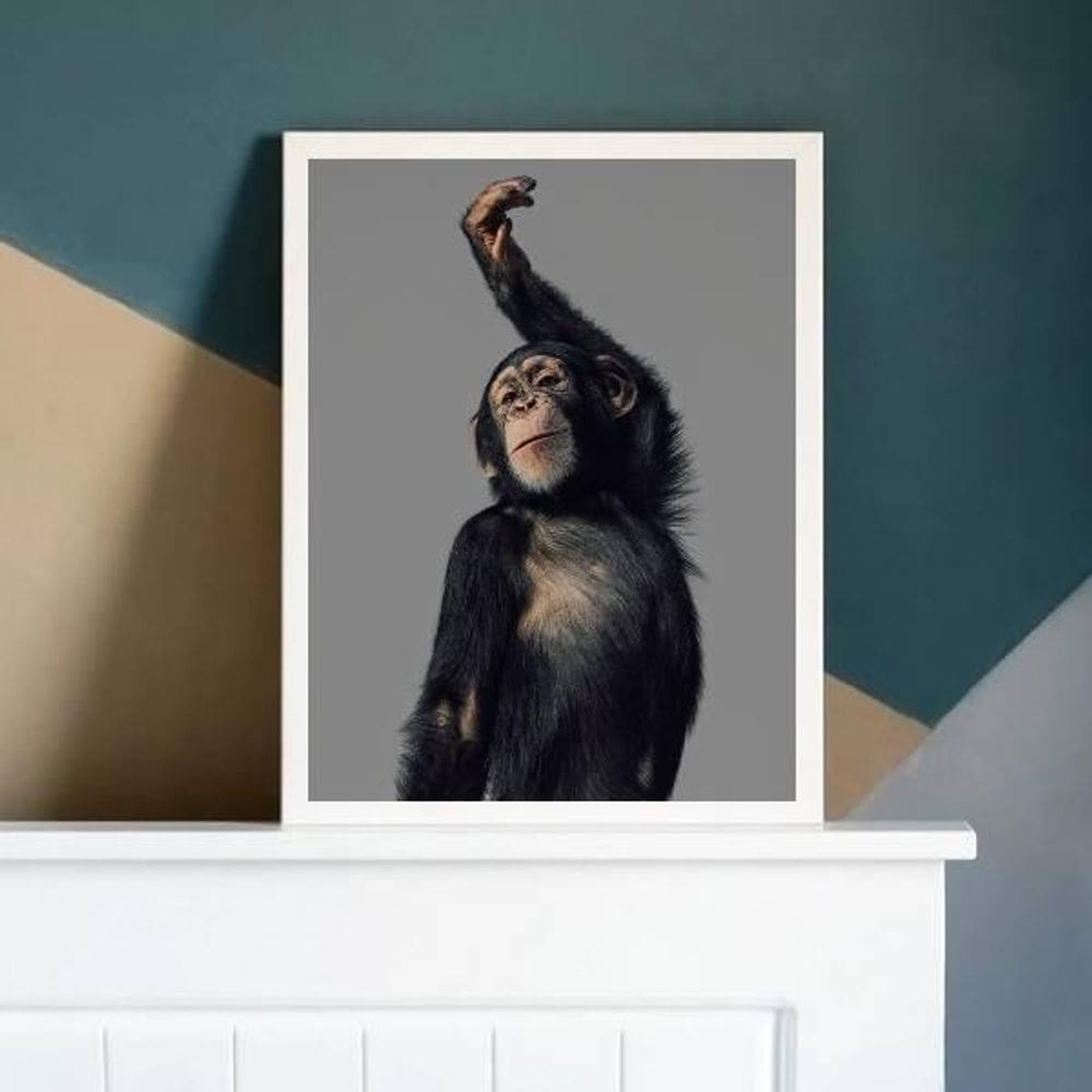 Quadro Macaco Performance 45X34Cm - Com Vidro Moldura Branca