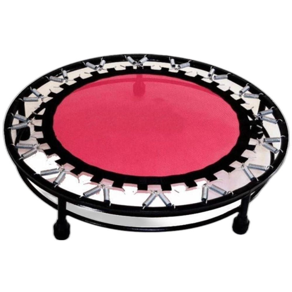 Kit Aeróbico Rosa - Jump + Colchonete + Caneleira 2 Kg