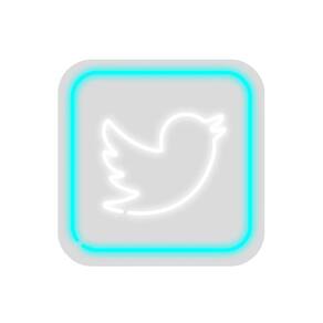 Neon Led Em Acrílico Twitter 0,30X0,30