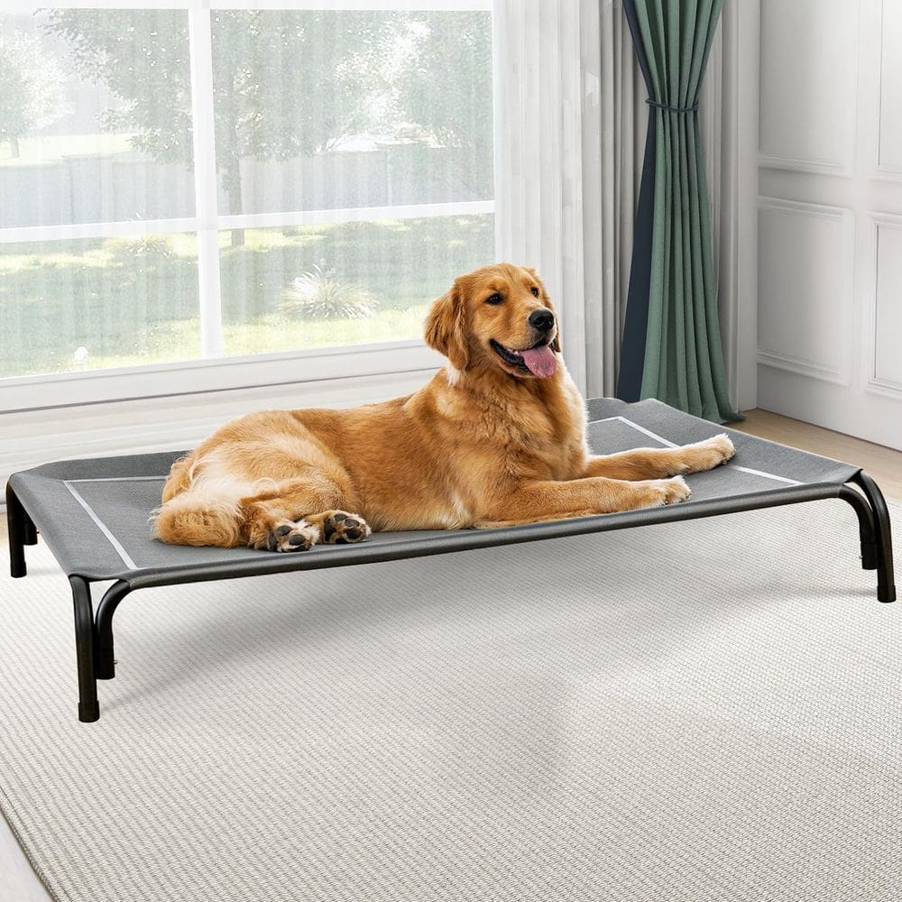 Cama elevada para cães Czpalo para cães grandes com malha de resfriamento
