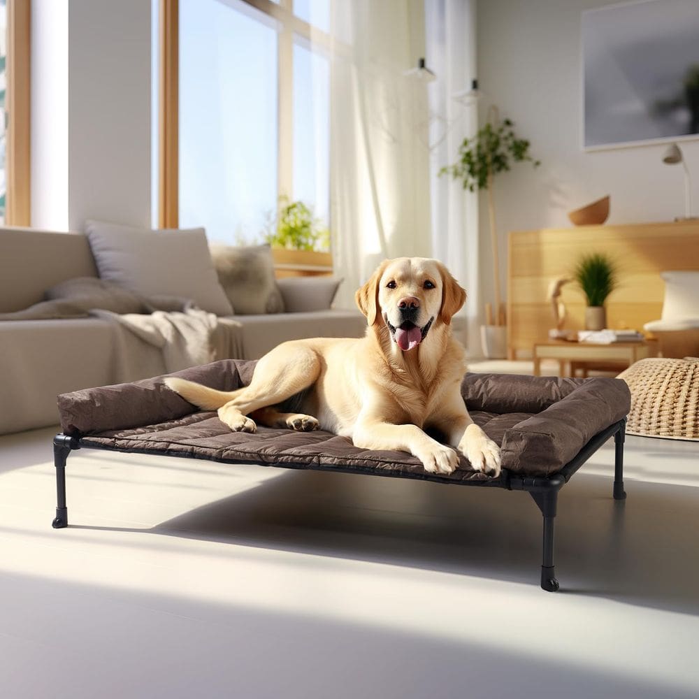 Cama para cães Veehoo Cooling Elevated com almofada impermeável grande