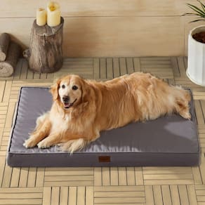 Cama de cachorro ao ar livre BFPETHOME ortopédica impermeável para cães grandes