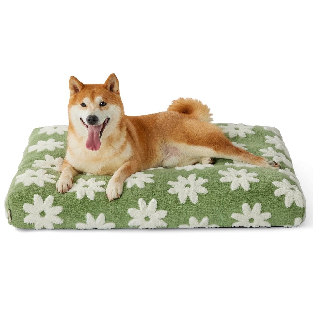 Cama para cães LE SURE Lesure Espuma grossa de tamanho grande com capa verde