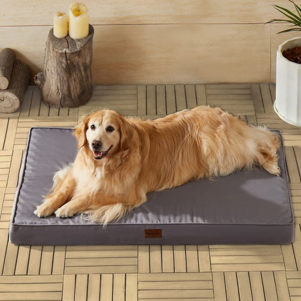 Cama de cachorro ao ar livre BFPETHOME ortopédica impermeável para cães grandes