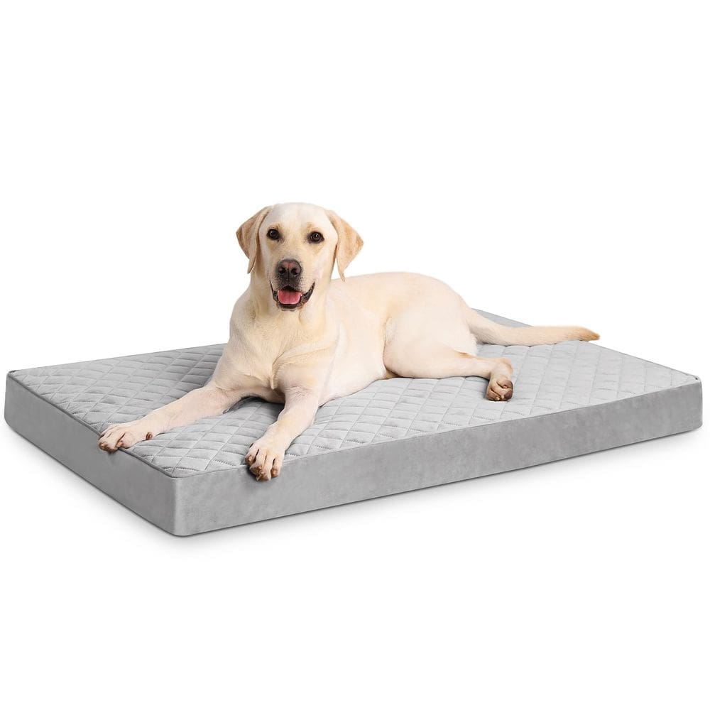 Cama para cães NUPIDA ortopédica impermeável com capa removível