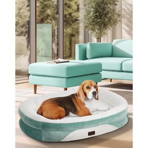 Sofá ortopédico para cães Ohgeni Large Pet Bed 35 cm com capa turquesa