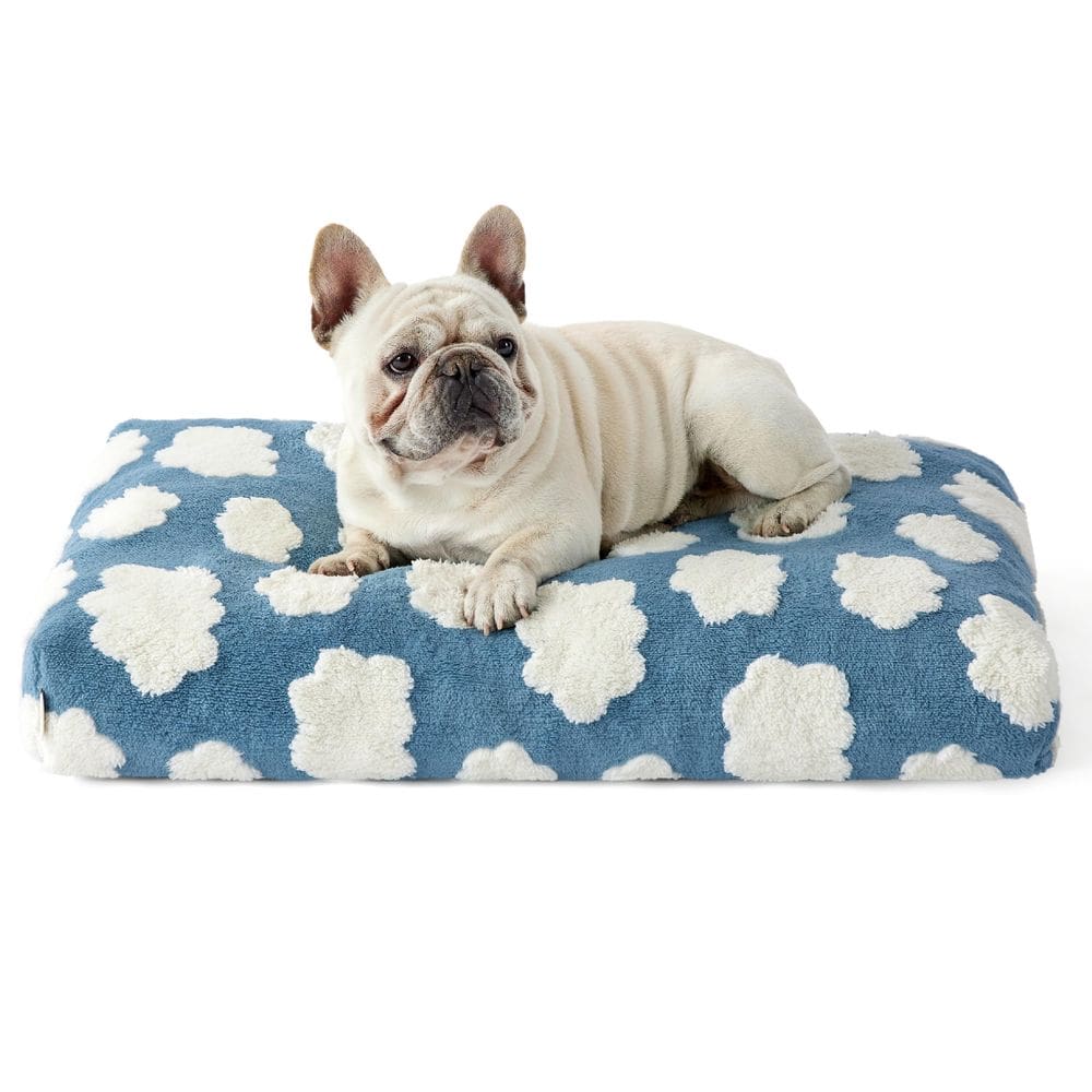 Cama para cães LE SURE Lesure Espuma desfiada azul de tamanho médio