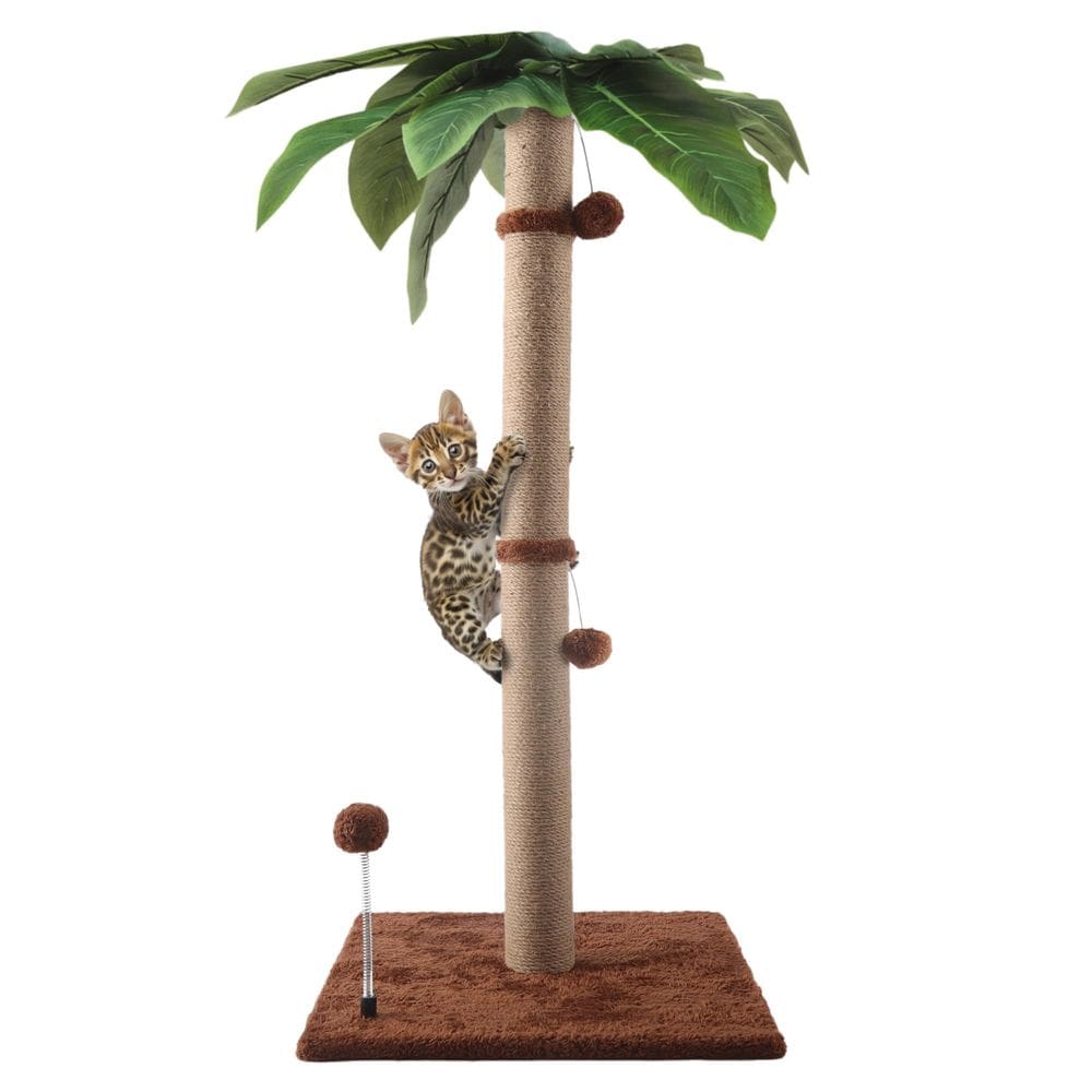 Cat Scratching Post POMESEA Brown Palm Tree 34” para gatos