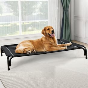 Cama elevada para cães Czpalo para cães grandes de até 40 kg com malha