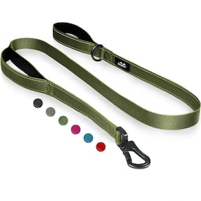 Coleira para cães, duas orelhas, verde forte, 180 cm com alças acolchoadas
