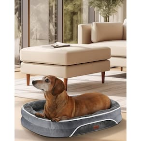 Sofá para cães Hogeni Orthopaedic Small Pet Bed 22 polegadas cinza