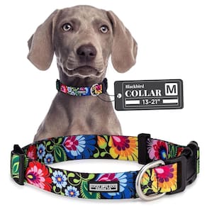Coleira de cachorro Lucky Love Dog Blackbird para cães pequenos a grandes