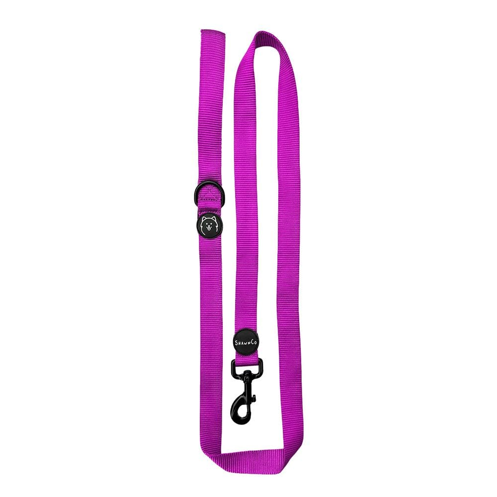 Coleira para cães SHAWNCO Dream Walk Premium de nylon com alça de neoprene