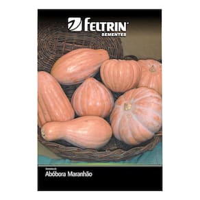 Feltrin Semente Abobora Maranhao 1G
