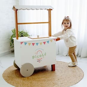Carrinho de Picolé de Brinquedo 65cm X 37cm X 100cm Cinza