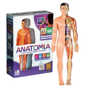 Jogo Infantil Educativo Anatomia Grow Metodologia STEM
