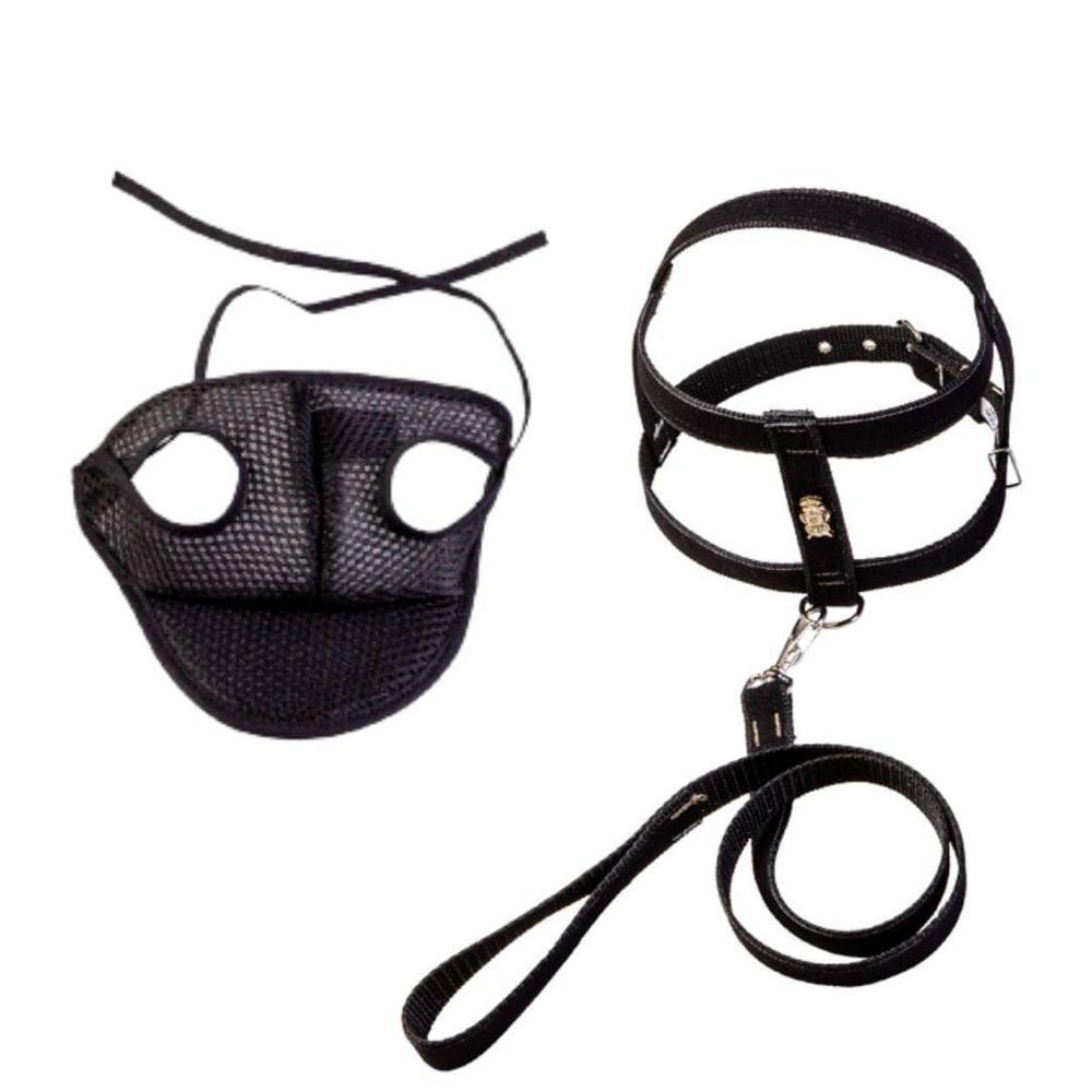 Kit Coleira Peitoral Com Aplique E Boné Para Cachorros - N06