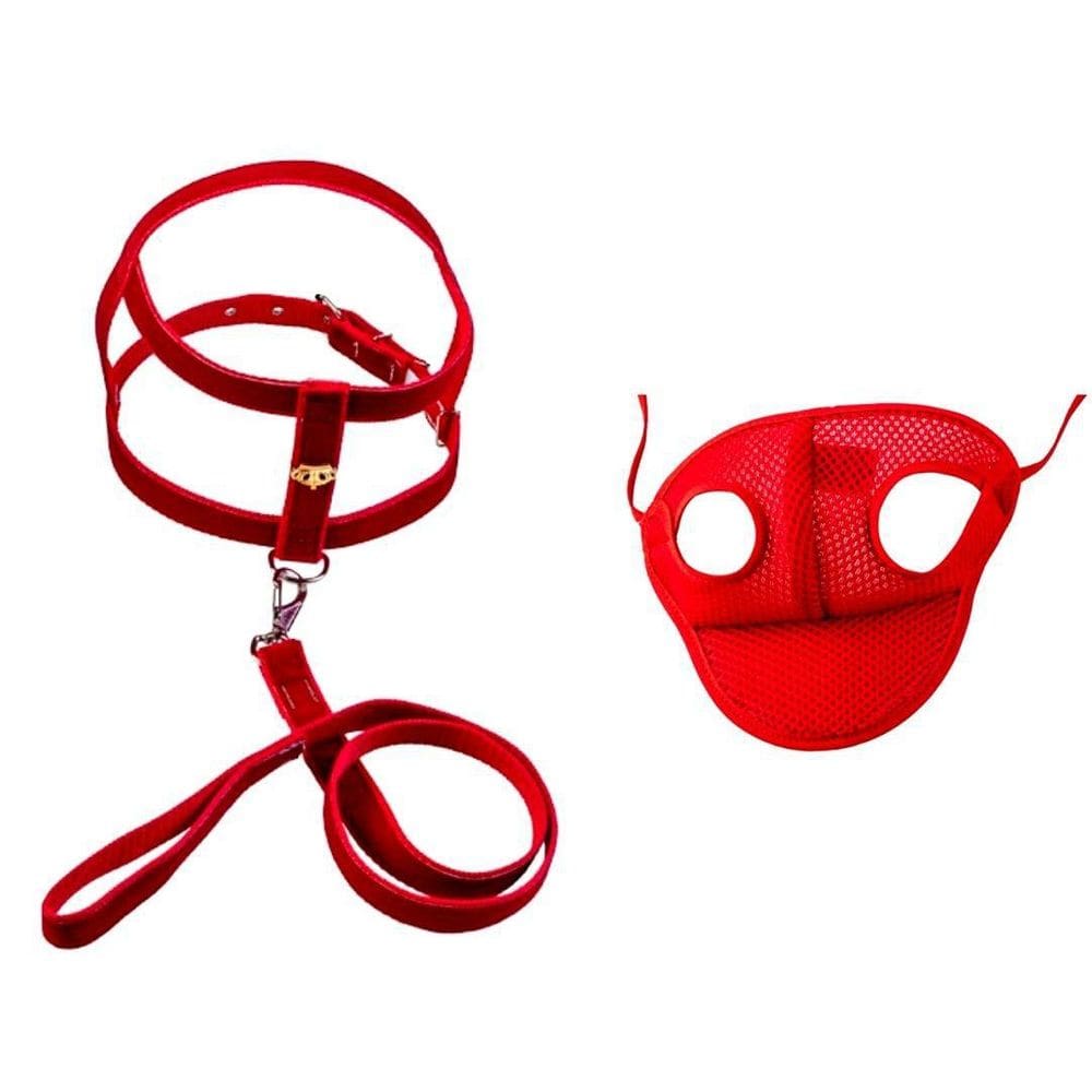 Kit Coleira Peitoral Aplique E Boné Cachorros Vermelho N04