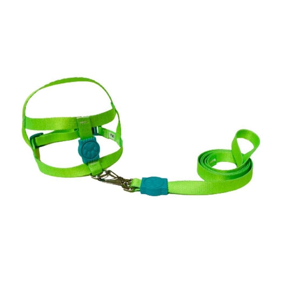 Coleira Peitoral Neon Para Cães Tradicional 15Mm - Verde Nº4