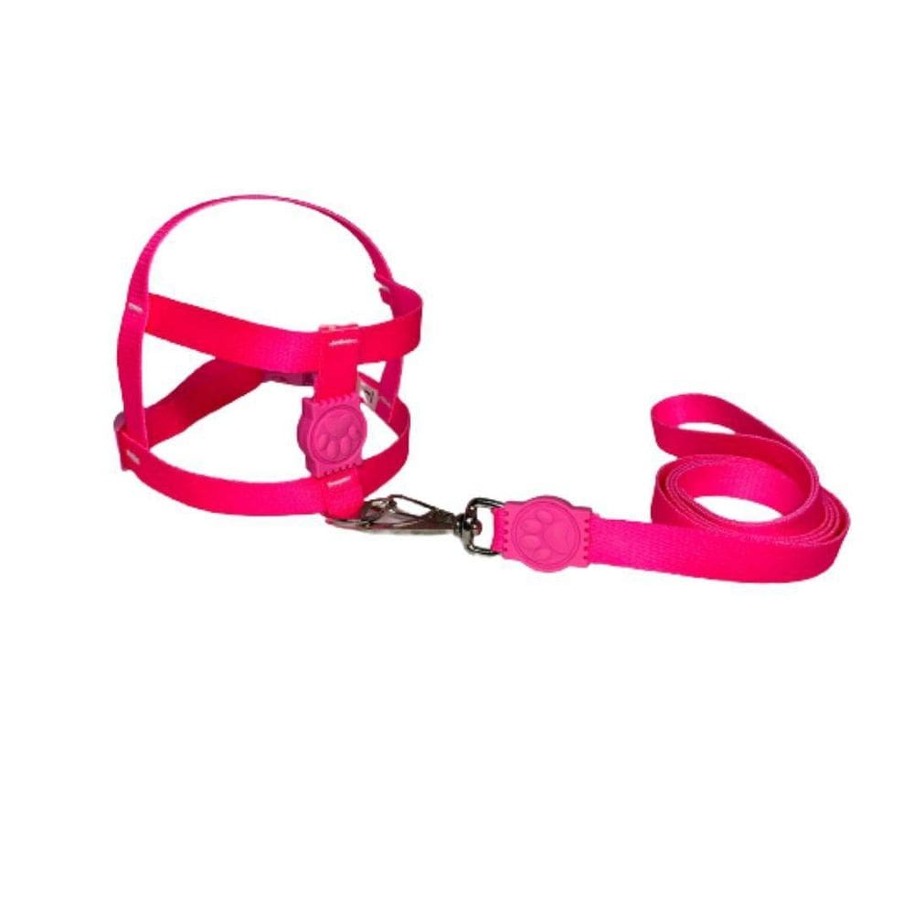 Coleira Peitoral Neon Para Cães Tradicional 15Mm - Rosa Nº1