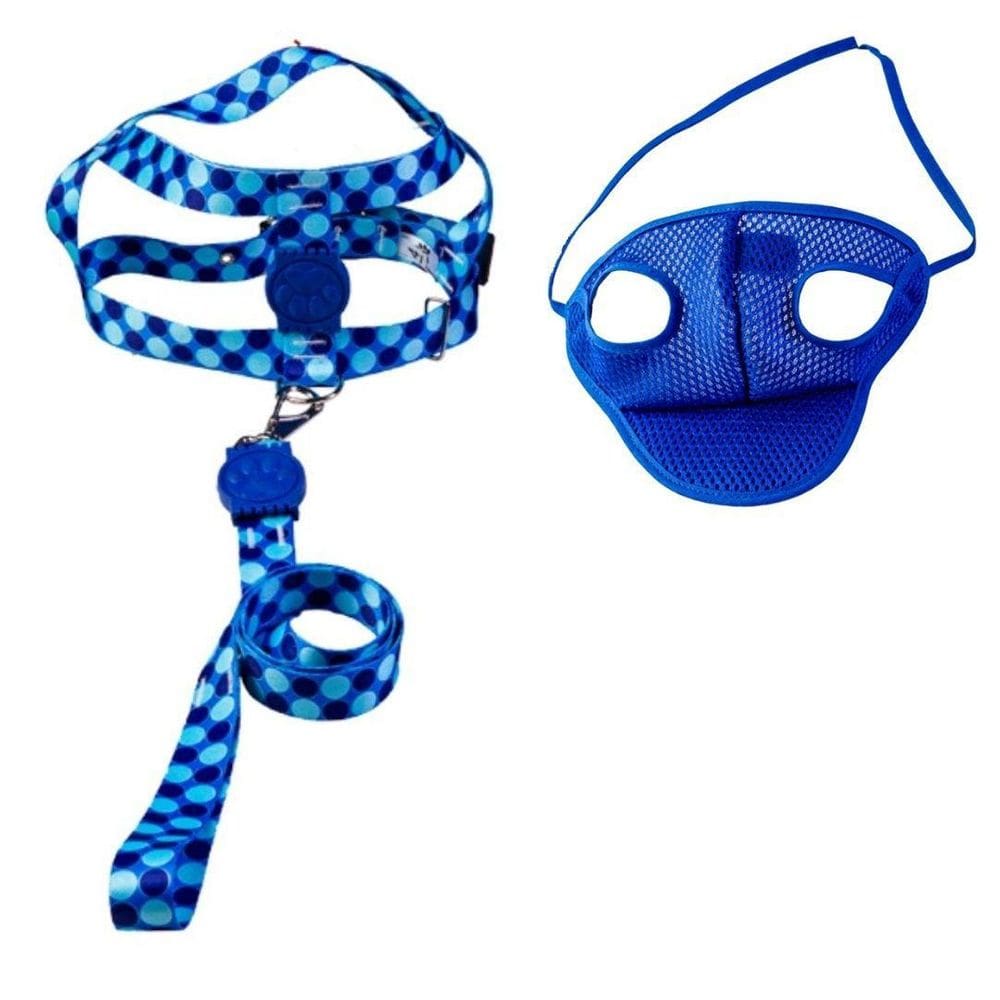 Kit Boné E Coleira Peitoral Para Cães E Gatos Nº7 - Azul