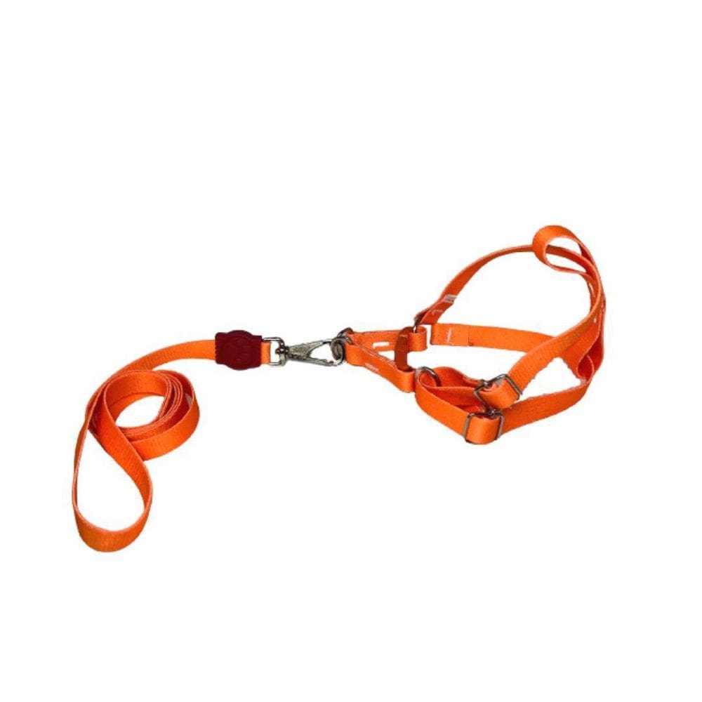 Coleira Peitoral Neon Para Cães Americano 15Mm - Laranja Nº3