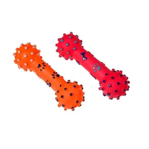 Brinquedo Mordedor Halteres Patinhas Cravo The Pets Brasil